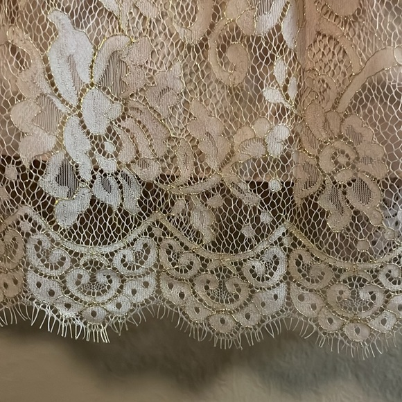 Jenny Yoo Collection Sleeveless Light Pink Lace Mini Bridesmaid Dress 0 - Picture 5 of 16